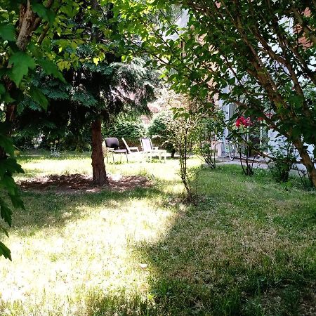 Central Lakeside Apartment Ohrid Ngoại thất bức ảnh